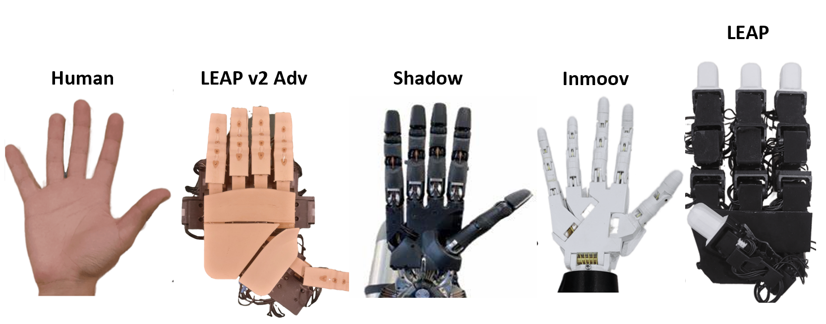 Size Comparison
